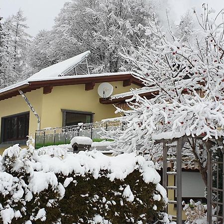 Fewo Zum Gscheiten Beck Mit Grosser Terrasse Feldberg  Extérieur photo